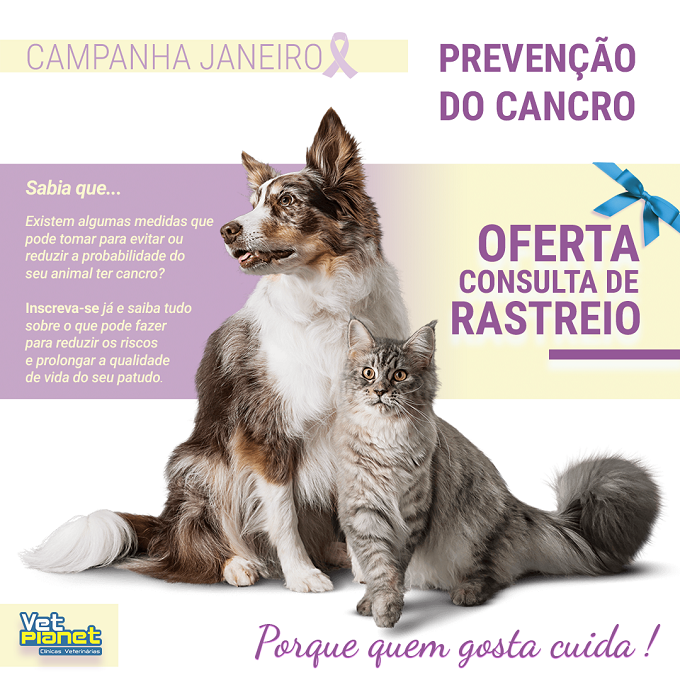 Oferta consulta de rastreio Oferta consulta de rastreio